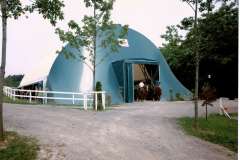 CCF_000131