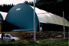CCF_000132