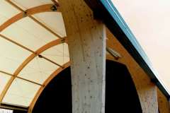 CCF_000141