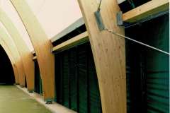 CCF_000145