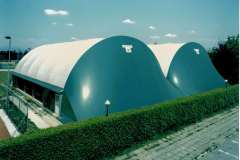 CCF_000157
