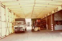CCF_000177