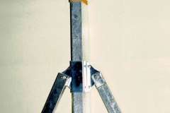 CCF_000184