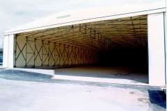 CCF_000185