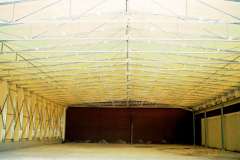 CCF_000187
